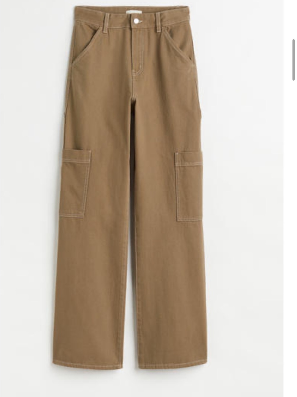H&M Wide-Leg Cargo Pants in Brown